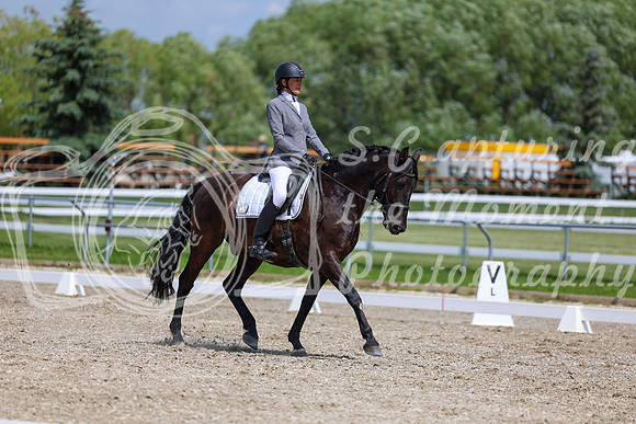 2025 - Dressage Festival - Saturday July 5th - 10300