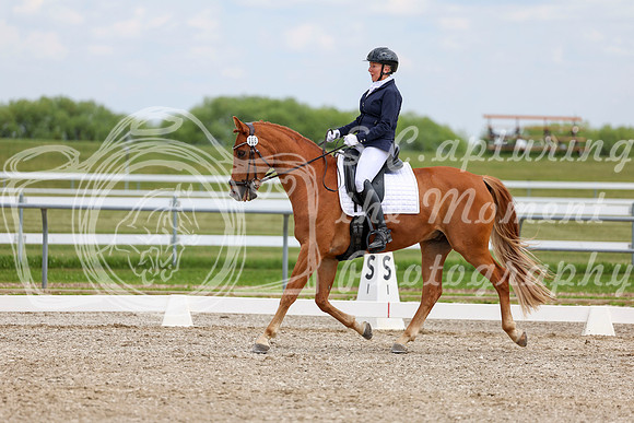 2025 - Dressage Festival - Saturday July 5th - 12492