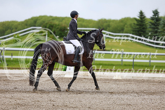 2025 - Dressage Festival - Sunday July 6th - 04554