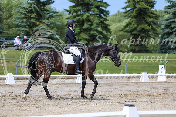 2025 - Dressage Festival - Saturday July 5th - 07101