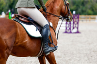 2025 - Haylee - Picco Horse Show - Saturday July 26th 06075