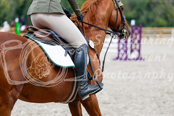 2025 - Haylee - Picco Horse Show - Saturday July 26th 06075