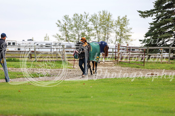 2025 - Shea - Bow Valley II - Friday May 16th - 00069