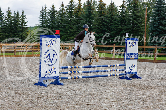 2025 - Haylee - Picco Horse Show - Sunday July 27th 01985