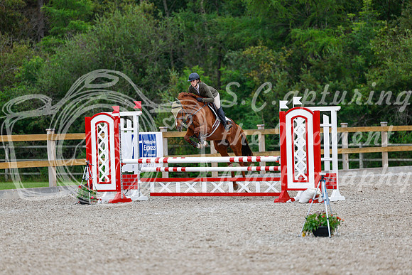 2025 - Haylee - Picco Horse Show - Sunday July 27th 03640