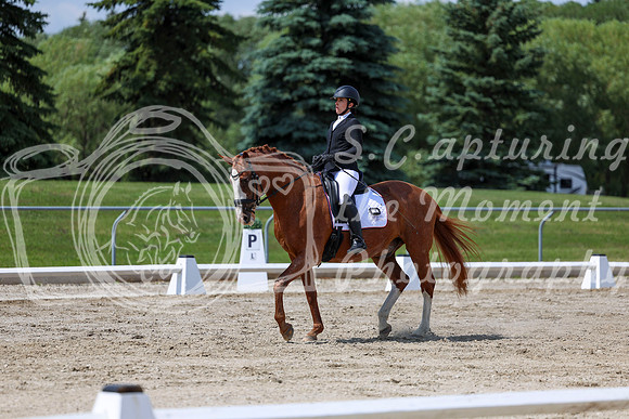 2025 - Dressage Festival - Saturday July 5th - 10078