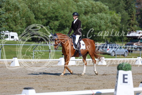 2025 - Dressage Festival - Saturday July 5th - 01650