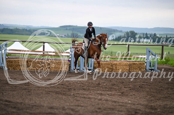 2025 - MJ - Teesdale - Saturday July 26th - 10782
