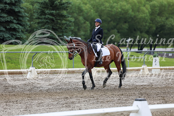 2025 - Dressage Festival - Sunday July 6th - 13163