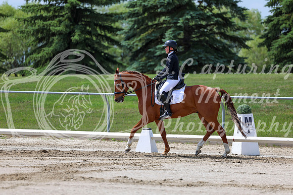 2025 - Dressage Festival - Saturday July 5th - 07989