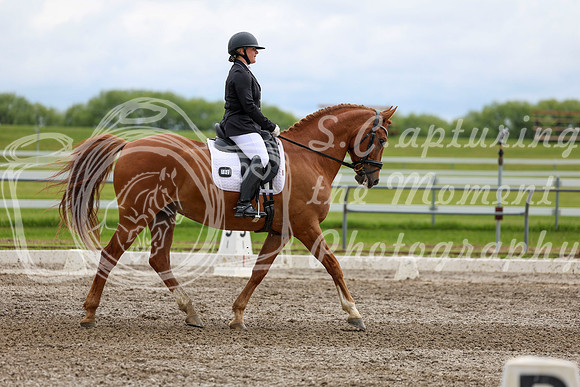 2025 - Dressage Festival - Sunday July 6th - 11100