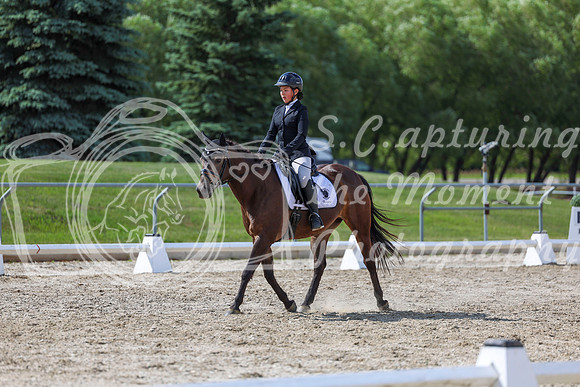 2025 - Dressage Festival - Saturday July 5th - 15451