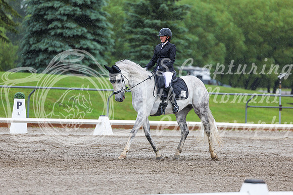 2025 - Dressage Festival - Sunday July 6th - 03871