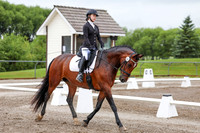 2025 - Dressage Festival - Sunday July 6th - 00824