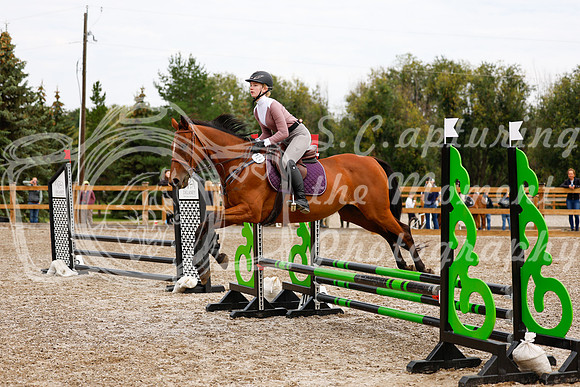 2025 - Haylee - Picco Horse Show - Saturday July 26th 01729
