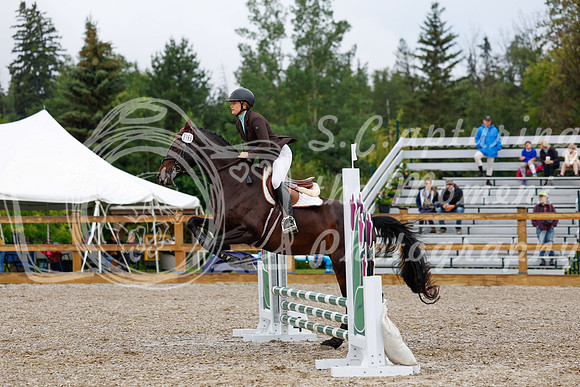 2025 - Haylee - Picco Horse Show - Sunday July 27th 00896