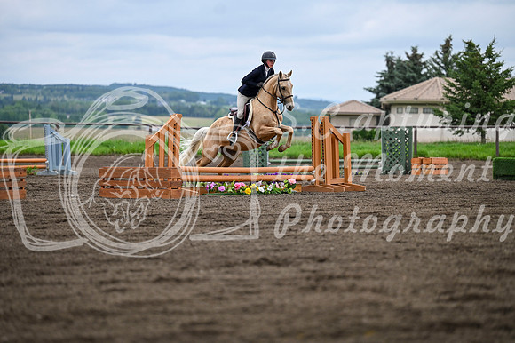 2025 - MJ - Teesdale - Saturday July 26th - 09364