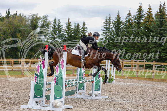 2025 - Haylee - Picco Horse Show - Saturday July 26th 04332