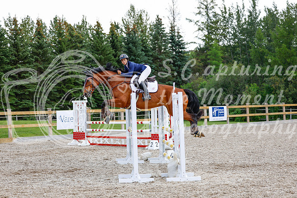 2025 - Haylee - Picco Horse Show - Saturday July 26th 06931