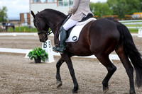 2025 - Dressage Festival - Sunday July 6th - 10388