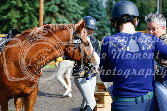 2025 - Haylee - Picco Horse Show - Sunday July 27th 02396