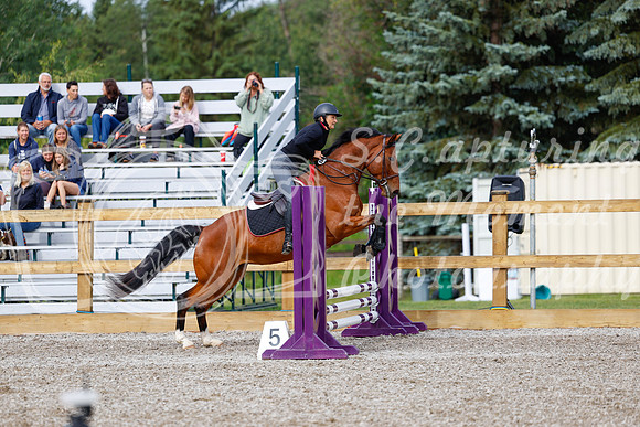2025 - Haylee - Picco Horse Show - Friay July 25th 00621