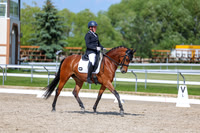 2025 - Dressage Festival - Saturday July 5th - 15515