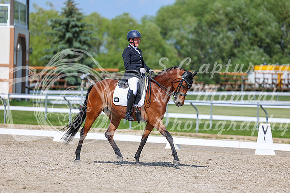 2025 - Dressage Festival - Saturday July 5th - 15515