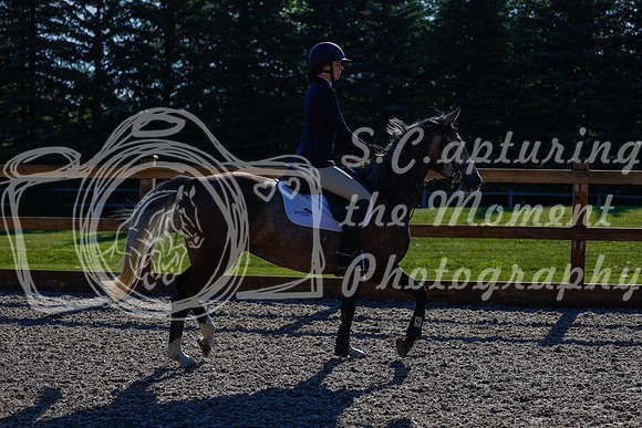 2025 - Haylee - Picco Horse Show - Thursday July 24th 00159