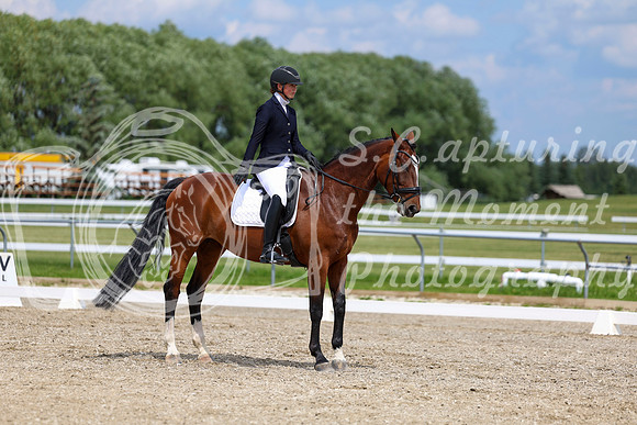 2025 - Dressage Festival - Saturday July 5th - 12832