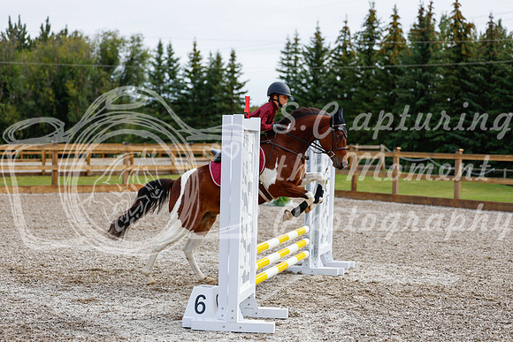 2025 - Haylee - Picco Horse Show - Friay July 25th 00584