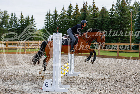 2025 - Haylee - Picco Horse Show - Friay July 25th 00627
