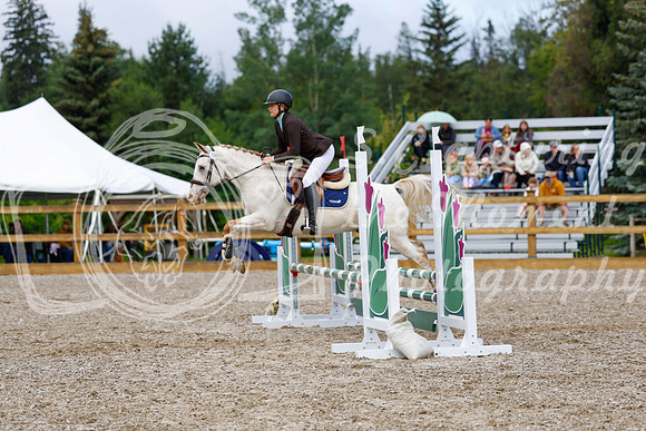 2025 - Haylee - Picco Horse Show - Sunday July 27th 01977