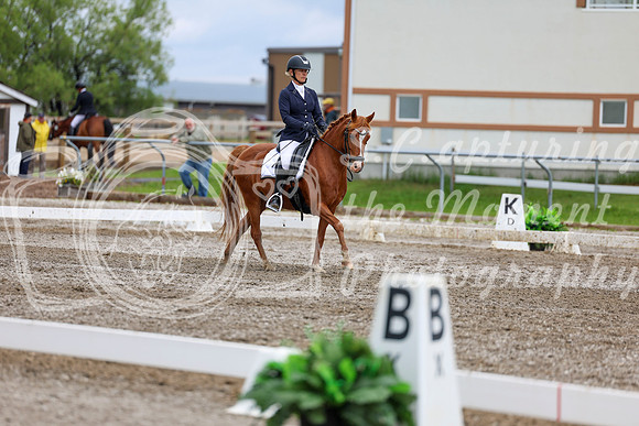 2025 - Dressage Festival - Sunday July 6th - 12202