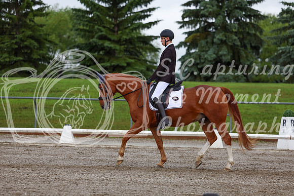 2025 - Dressage Festival - Sunday July 6th - 01321