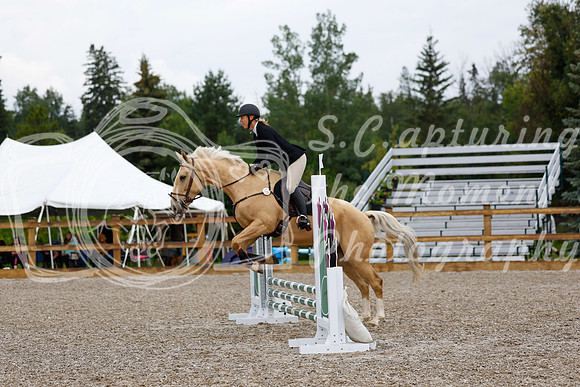 2025 - Haylee - Picco Horse Show - Sunday July 27th 00296