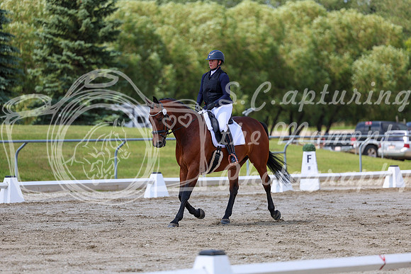 2025 - Dressage Festival - Saturday July 5th - 09715
