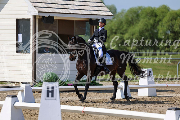 2025 - Dressage Festival - Saturday July 5th - 03750