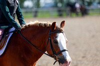 2025 - Dressage Festival - Saturday July 5th - 00018