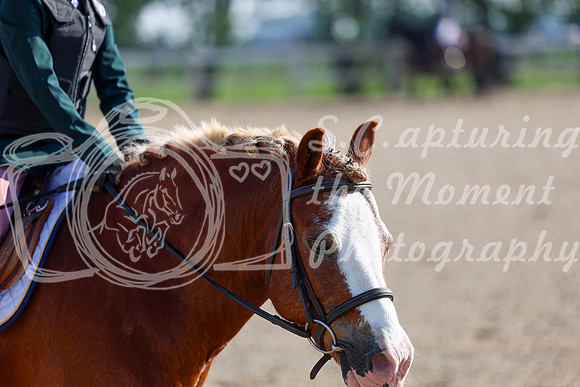 2025 - Dressage Festival - Saturday July 5th - 00018