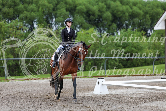 2025 - Dressage Festival - Sunday July 6th - 00815