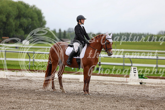 2025 - Dressage Festival - Sunday July 6th - 06100