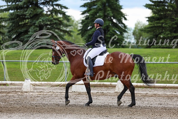 2025 - Dressage Festival - Sunday July 6th - 11804