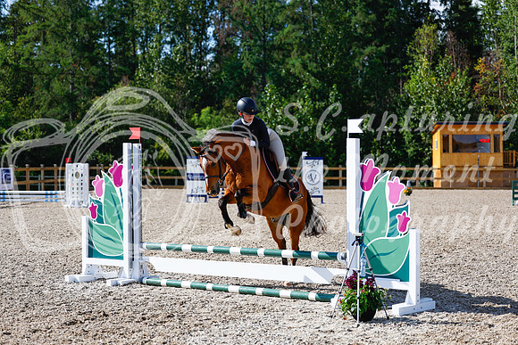 2025 - Haylee - Picco Horse Show - Thursday July 24th 00912