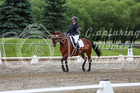 2025 - Dressage Festival - Sunday July 6th - 11782