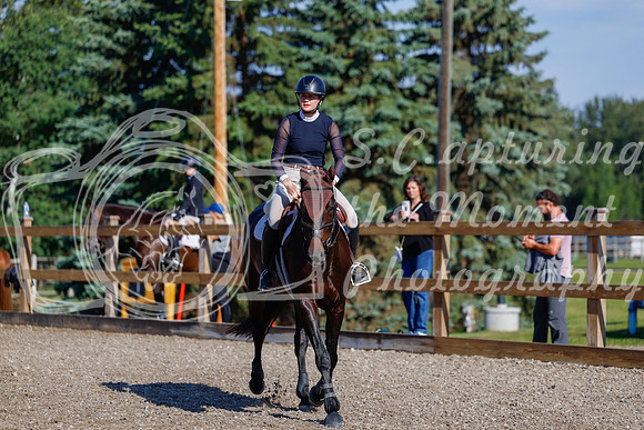 2025 - Haylee - Picco Horse Show - Thursday July 24th 00452