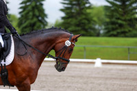 2025 - Dressage Festival - Sunday July 6th - 00828