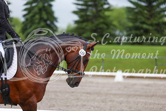 2025 - Dressage Festival - Sunday July 6th - 00828