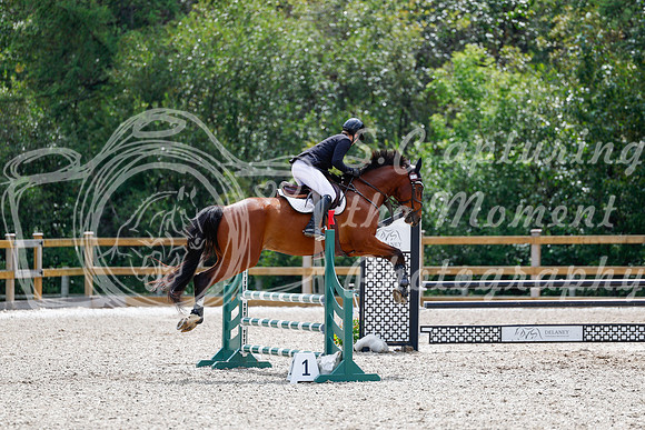 2025 - Haylee - Picco Horse Show - Sunday July 27th 03940
