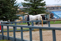2025 - Shea - Bow Valley II - Friday May 16th - 00002